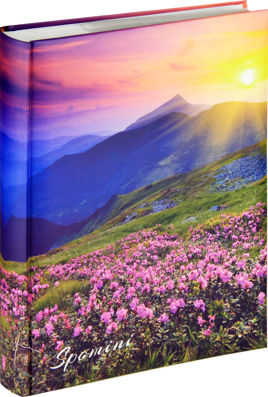 1012131418502 1012131418502