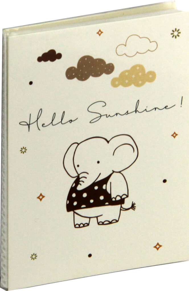 albumi za fotografije foto albumi 1011101118332