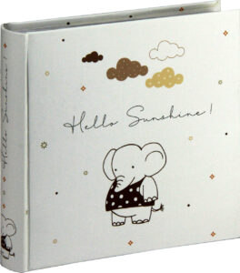 albumi za fotografije foto albumi 1012121118287