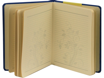 notesi spiralni zvezki za pisarno 1517102417880 1