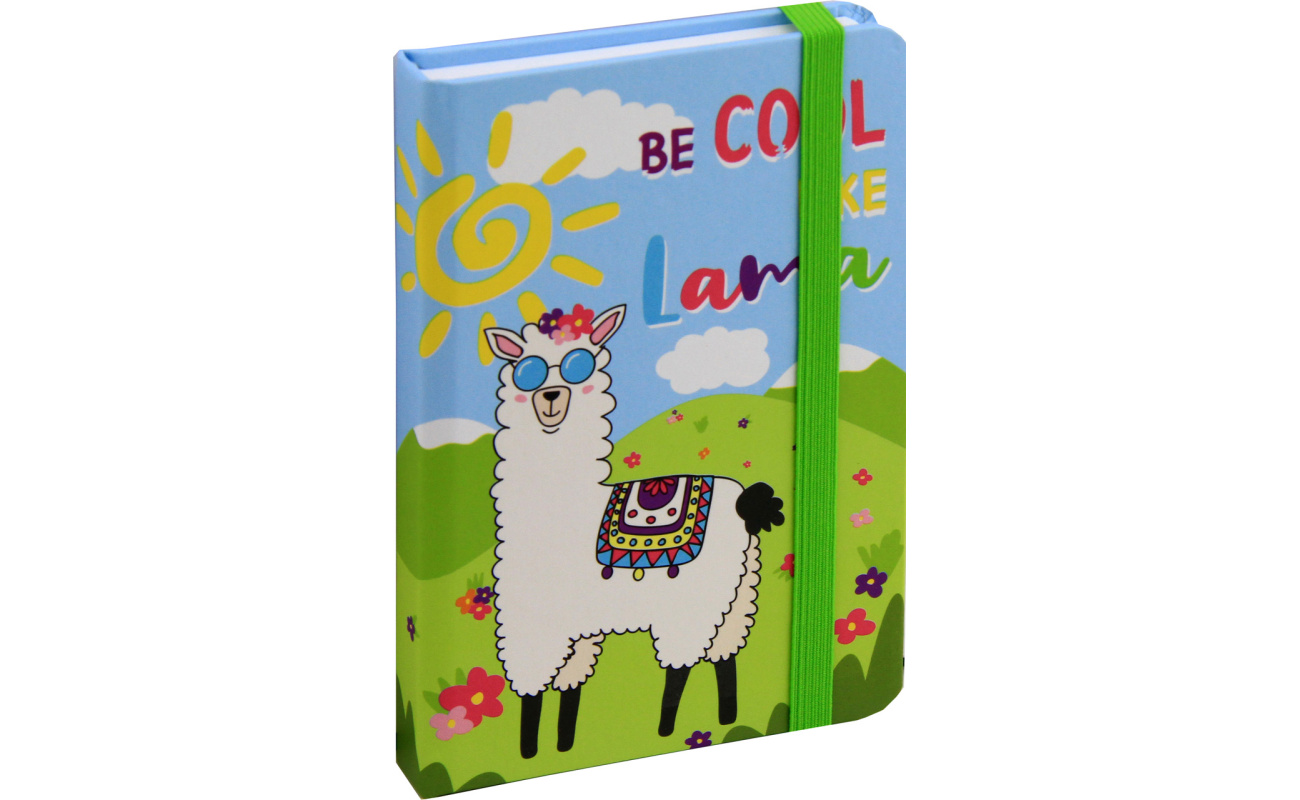 notesi spiralni zvezki za pisarno 1517112417851