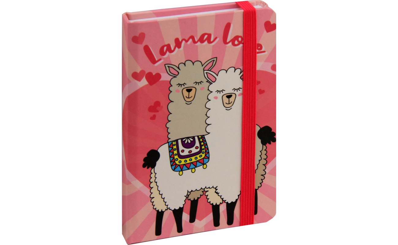 notesi spiralni zvezki za pisarno 1517112417852