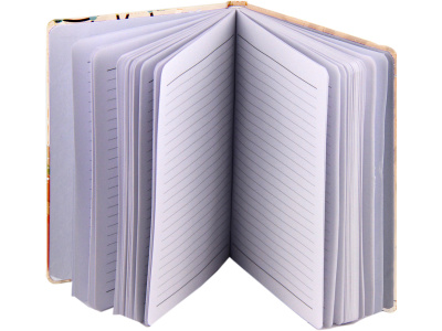 notesi spiralni zvezki za pisarno 1517112418205 1