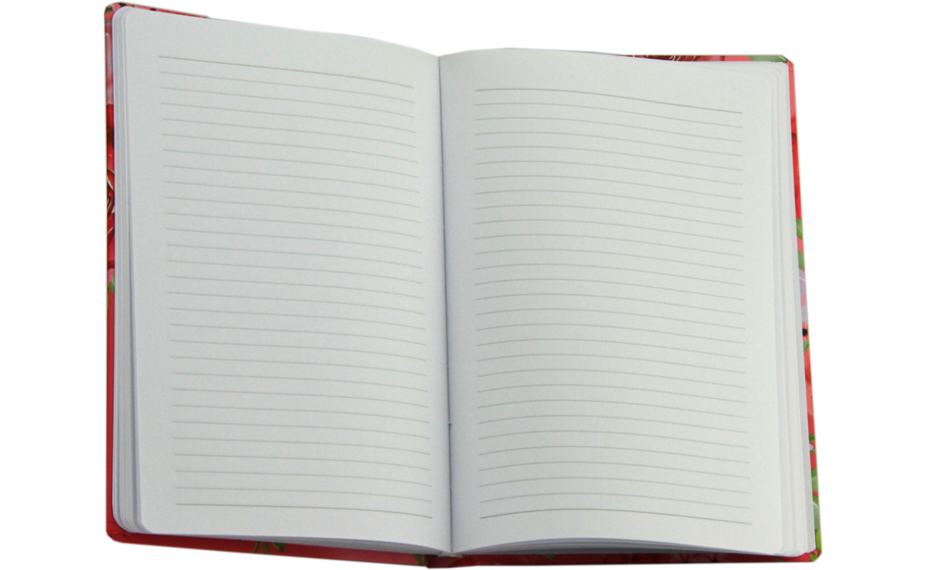 notesi spiralni zvezki za pisarno 1517112418346 1