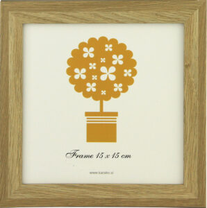 okvirji za slike foto okvirji okvirji za fotografije 1110271618459