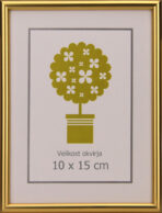 okvirji za slike foto okvirji okvirji za fotografije 1113101311242